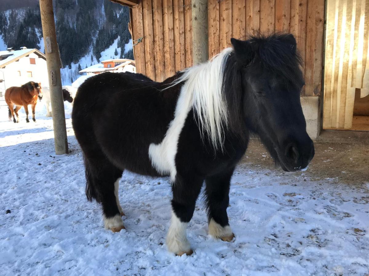 Ferienwohnung Pony-Ziegen-Hasen-Ranch Bichlbach Exterior foto