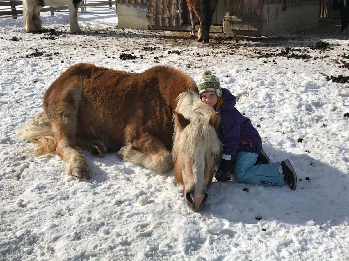 Ferienwohnung Pony-Ziegen-Hasen-Ranch Bichlbach Exterior foto