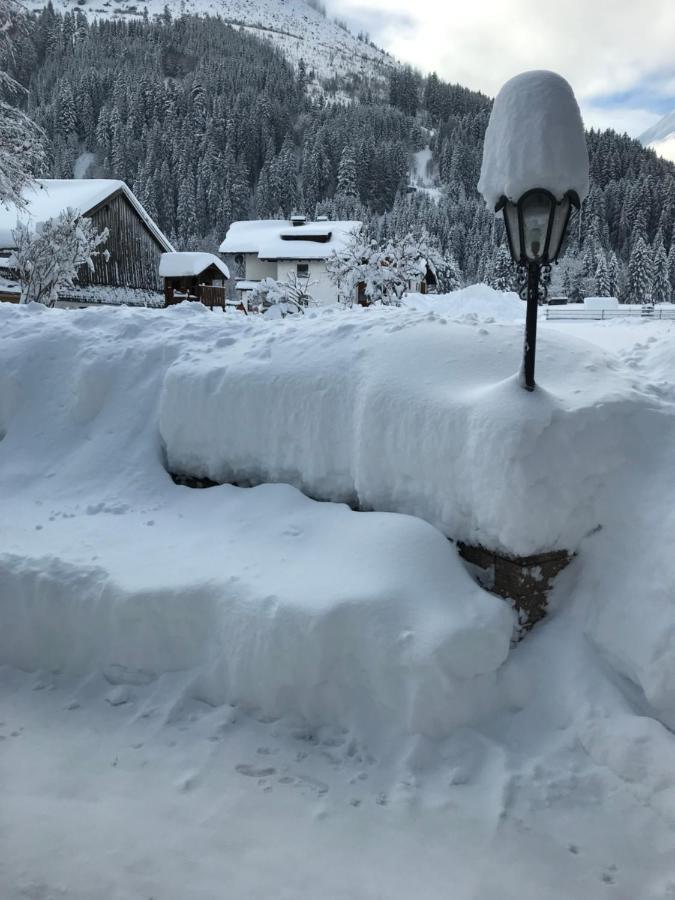 Ferienwohnung Pony-Ziegen-Hasen-Ranch Bichlbach Exterior foto